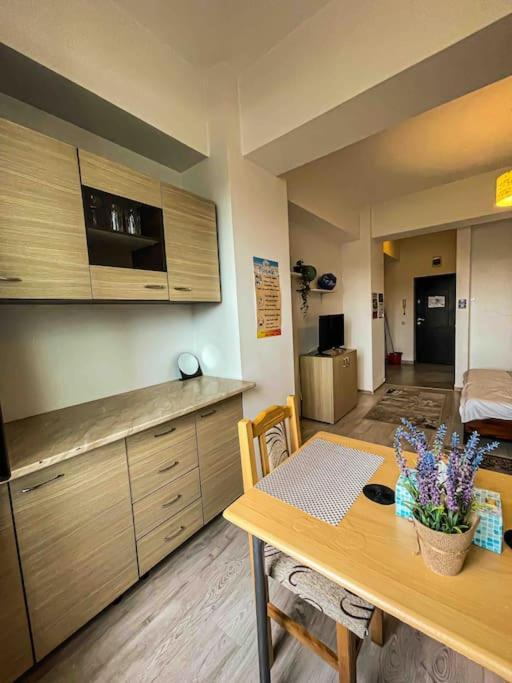 Cazare Iasi Palas Apartment Zewnętrze zdjęcie